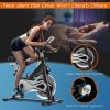 Professionals 40 Lbs Flywheel Exercise Stationary Cycling Bike